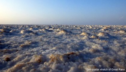 Salt-crystal-in-rann